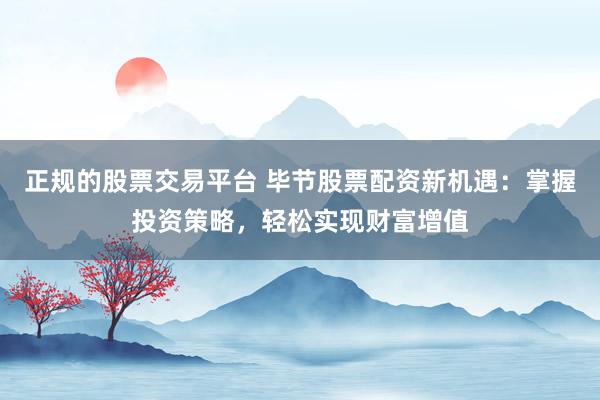 正规的股票交易平台 毕节股票配资新机遇：掌握投资策略，轻松实现财富增值