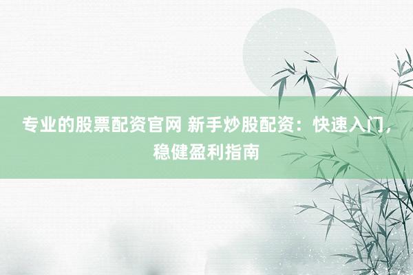 专业的股票配资官网 新手炒股配资：快速入门，稳健盈利指南