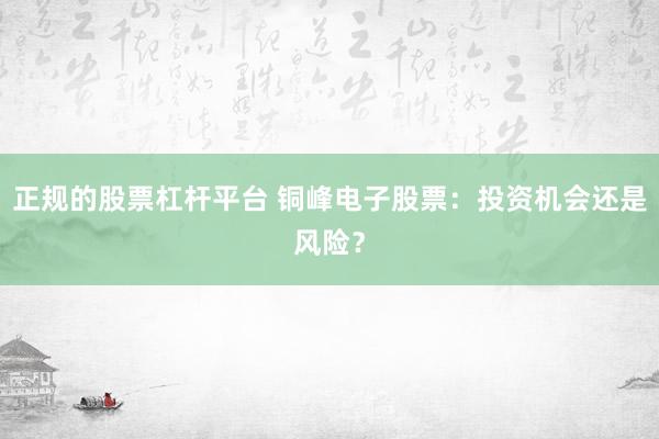 正规的股票杠杆平台 铜峰电子股票：投资机会还是风险？