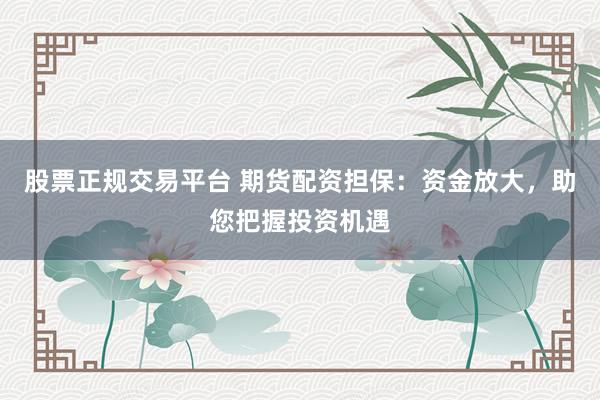 股票正规交易平台 期货配资担保：资金放大，助您把握投资机遇