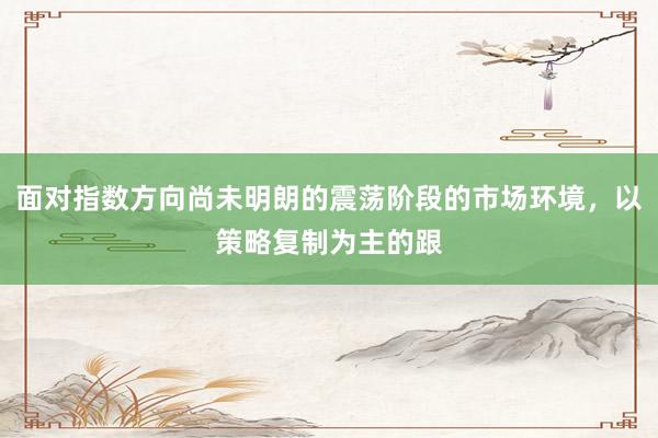 面对指数方向尚未明朗的震荡阶段的市场环境，以策略复制为主的跟