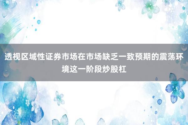 透视区域性证券市场在市场缺乏一致预期的震荡环境这一阶段炒股杠