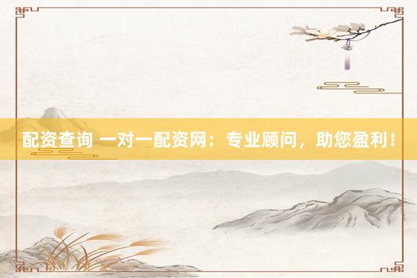 配资查询 一对一配资网：专业顾问，助您盈利！